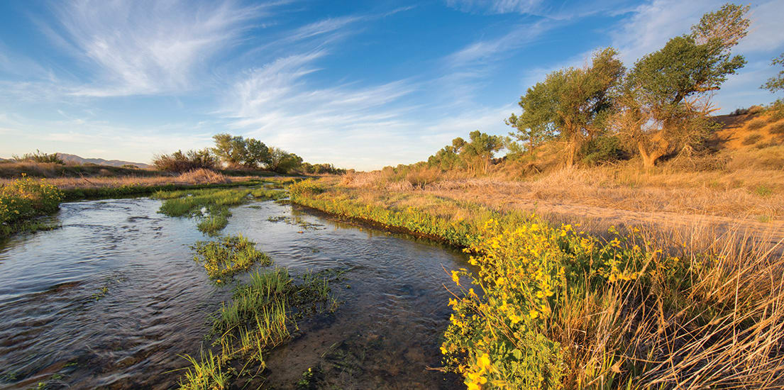 WRC Commits to Purchase Vital Reach of California’s Mojave River